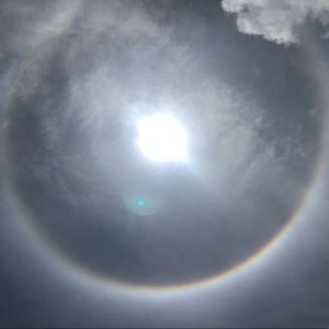 Meet your Posher, Bridget